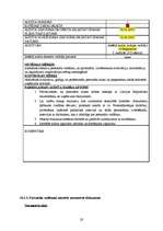 Referāts 'Iekšējais audits', 28.