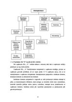 Referāts 'Uzņēmuma SIA "X" operatīvā plānošana', 10.