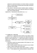 Referāts 'Uzņēmuma SIA "X" operatīvā plānošana', 15.