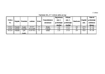 Referāts 'Uzņēmuma SIA "X" operatīvā plānošana', 18.