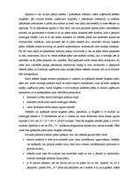 Referāts 'Uzņēmuma SIA "X" operatīvā plānošana', 19.