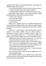 Referāts 'Uzņēmuma SIA "X" operatīvā plānošana', 23.