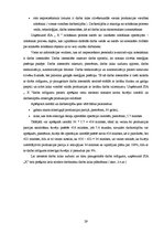 Referāts 'Uzņēmuma SIA "X" operatīvā plānošana', 29.