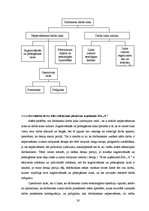 Referāts 'Uzņēmuma SIA "X" operatīvā plānošana', 30.
