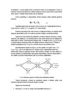 Paraugs 'Tīklveida grafika izveidošana un rādītāju aprēķināšana', 15.