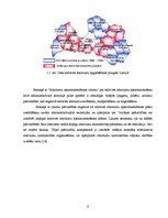 Referāts 'Infiltrāta attīrīšanas iekārtas', 6.