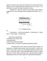 Referāts 'Infiltrāta attīrīšanas iekārtas', 13.