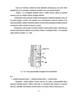 Referāts 'Infiltrāta attīrīšanas iekārtas', 14.