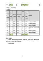 Diplomdarbs 'Tehniskais projekts. Bērnudārzs', 25.