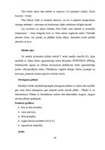 Diplomdarbs 'Tehniskais projekts. Bērnudārzs', 37.