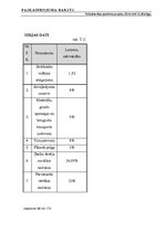 Diplomdarbs 'Tehniskais projekts. Bērnudārzs', 85.