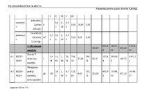 Diplomdarbs 'Tehniskais projekts. Bērnudārzs', 100.