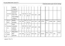 Diplomdarbs 'Tehniskais projekts. Bērnudārzs', 116.