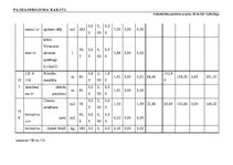 Diplomdarbs 'Tehniskais projekts. Bērnudārzs', 117.