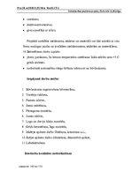 Diplomdarbs 'Tehniskais projekts. Bērnudārzs', 142.