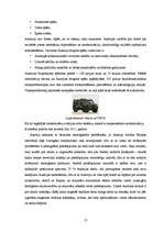 Referāts 'Ekvadoras valsts iekšpolitikas analīze', 17.