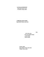 Prakses atskaite 'Civiltiesiskās prakses atskaite', 1.