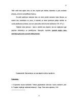 Prakses atskaite 'Civiltiesiskās prakses atskaite', 17.