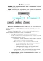 Referāts 'Mainība', 15.