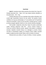 Referāts 'Automātisko žalūziju sistēmu pielietošana moduļa ēkai "Bona Compact 40"', 109.