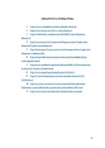 Referāts 'Zaļās obligācijas', 14.