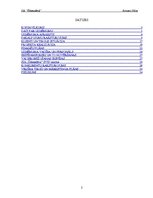 Biznesa plāns 'Sabiedrība ar ierobežotu atbildību "Ūdensdārzi"', 2.