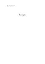 Konspekts 'SIA "Skabarga"', 1.