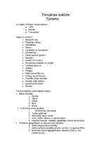 Konspekts 'Tūrisms', 1.