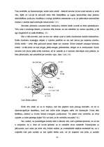Referāts 'Vēža šūnu aktivizēšanās faktori un vēža diagnosticēšanas iespējas mūsdienu tradi', 14.