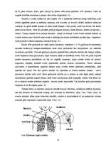 Referāts 'Vēža šūnu aktivizēšanās faktori un vēža diagnosticēšanas iespējas mūsdienu tradi', 19.
