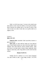 Referāts 'Adaptācija 5.klasē', 22.