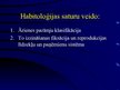 Prezentācija 'Kriminālistiskās habitoloģijas lietošana noziegumu atklāšanā un novēršanā. Cilvē', 5.