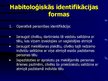 Prezentācija 'Kriminālistiskās habitoloģijas lietošana noziegumu atklāšanā un novēršanā. Cilvē', 27.