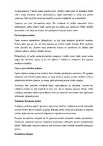 Konspekts 'A.Pumpura eposs “Lāčplēsis”', 9.
