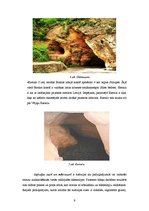 Referāts 'Latvijas karsta un sufozijas reljefa formas Allažu un Siguldas apkaimē', 9.