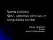 Prezentācija 'Cilvēka nervu sistēma un tās slimības', 1.