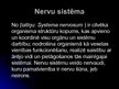 Prezentācija 'Cilvēka nervu sistēma un tās slimības', 2.