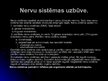Prezentācija 'Cilvēka nervu sistēma un tās slimības', 3.