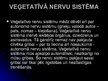 Prezentācija 'Cilvēka nervu sistēma un tās slimības', 5.