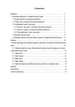 Referāts 'Общая характеристика образов природы в русской и латышской языковой картины мира', 4.