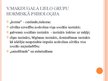 Prezentācija 'Grupa - mikro un makro vide. Grupas jēdziens. Grupu veidi', 13.