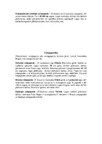 Referāts 'Papardes', 4.