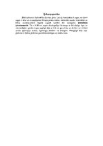 Referāts 'Papardes', 7.