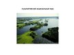Referāts 'Природные объекты Прибалтики', 41.