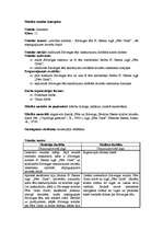 Konspekts 'Mācību stundas konspekts literatūrā vidusskolai', 1.