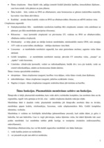 Konspekts 'Fizioloģijas mācību materiāls', 3.