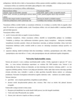 Konspekts 'Fizioloģijas mācību materiāls', 11.