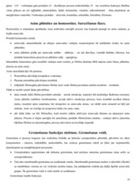 Konspekts 'Fizioloģijas mācību materiāls', 19.