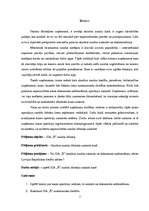 Diplomdarbs 'SIA "X" naudas līdzekļu uzskaite kasē', 7.