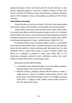 Diplomdarbs 'SIA "X" naudas līdzekļu uzskaite kasē', 26.